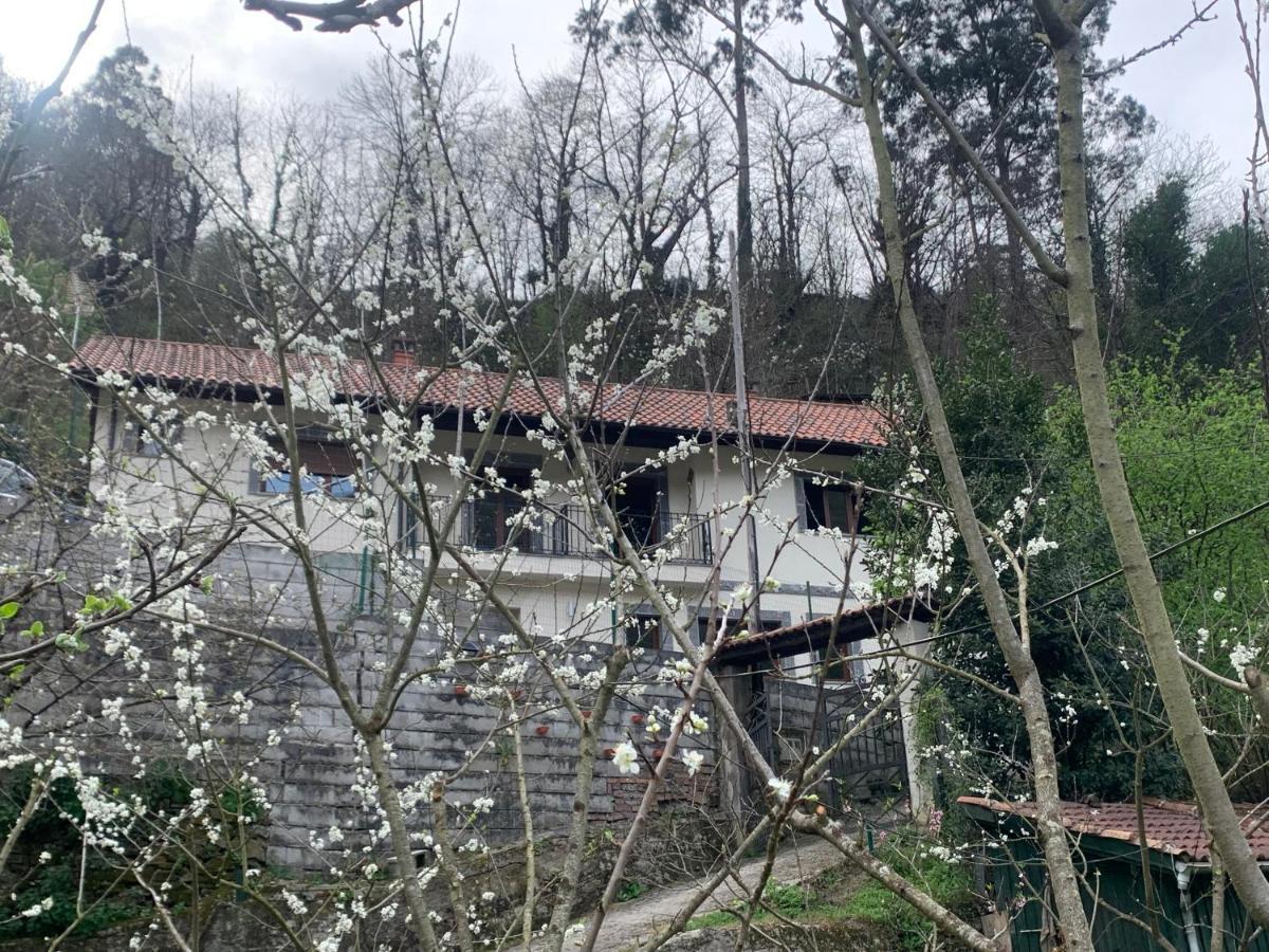 Casa Rural En Santa Cruz-Mieres Bustiello  Extérieur photo